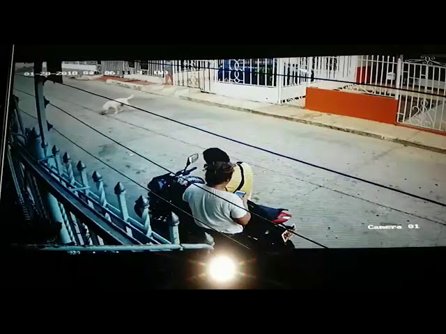 En video: atraco en el barrio Los Pinos