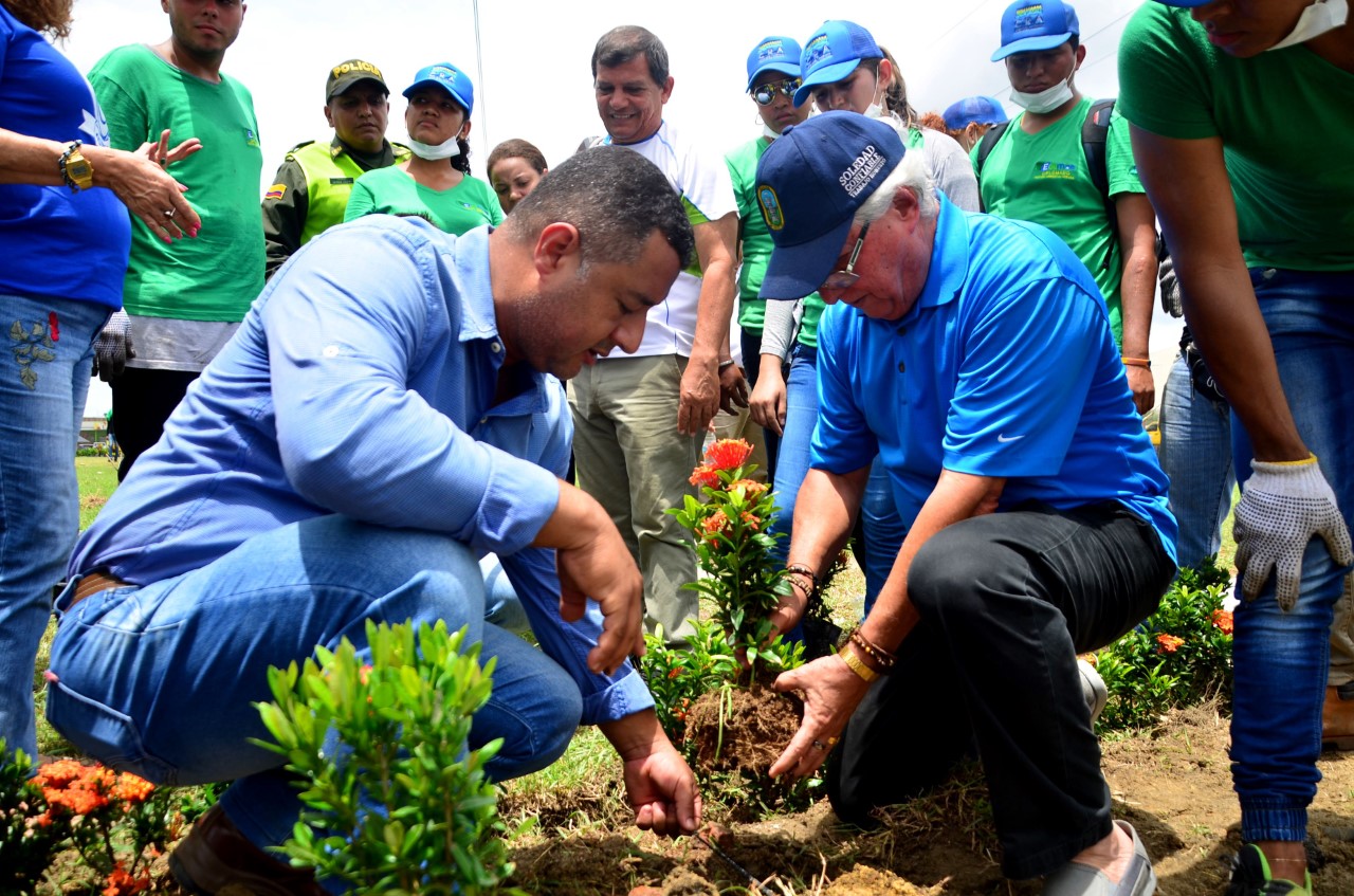 Soledad participará en la siembra más grande de árboles en Colombia