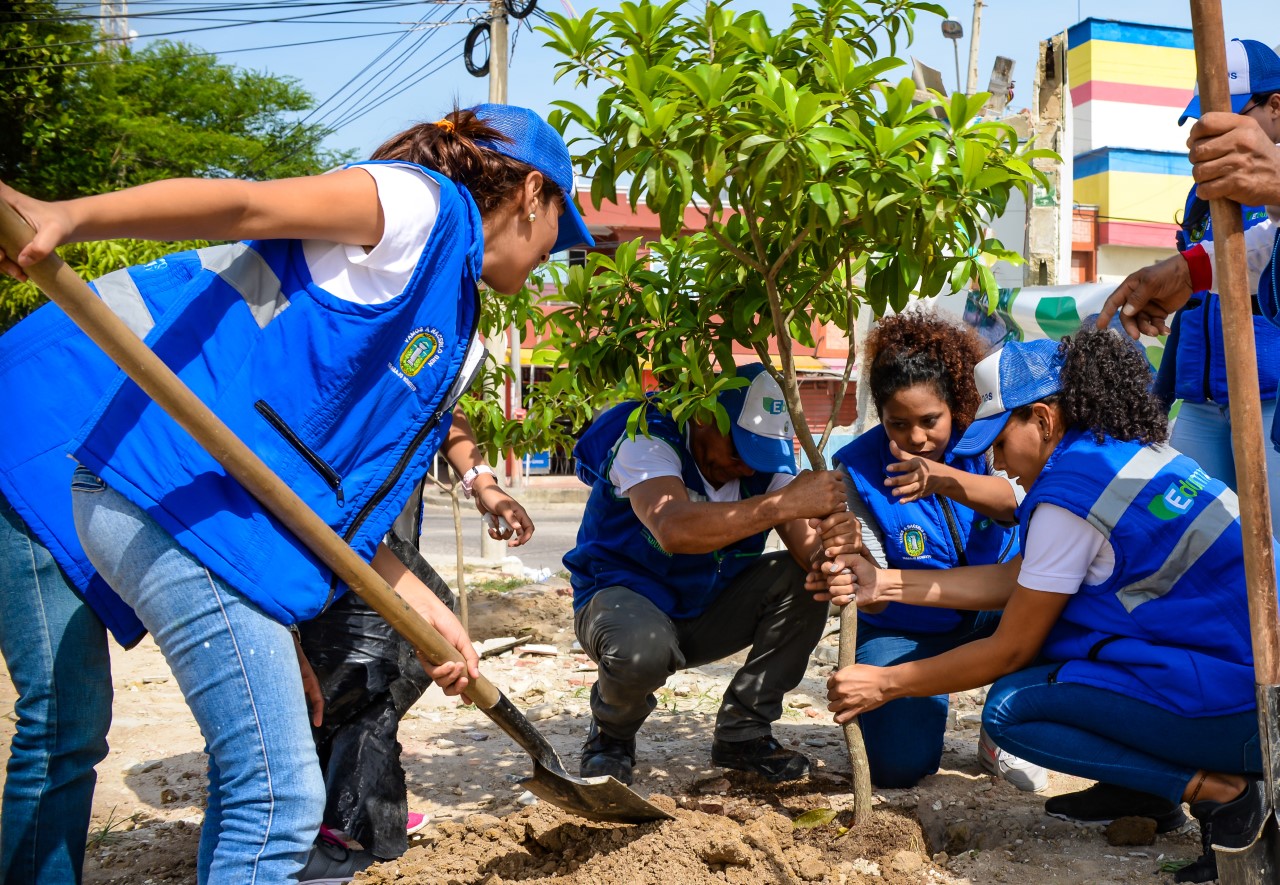 Con siembra de árboles, Edumas recupera entorno de antiguo CAI de Soledad 2000