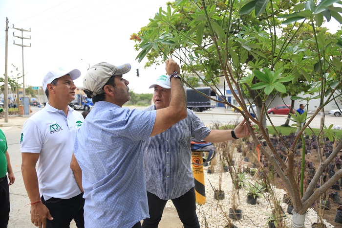 “Esta es otra ciudad con el programa Siembra Barranquilla”: alcalde Char