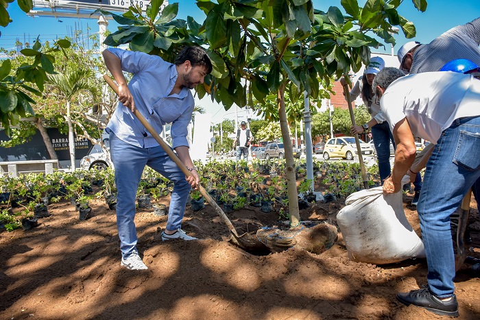 “Volveremos a Barranquilla una ciudad verde”: alcalde Pumarejo