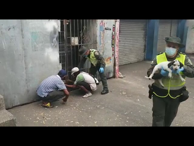 Policía rescató a tres perritos abandonados en un Taller mecánico