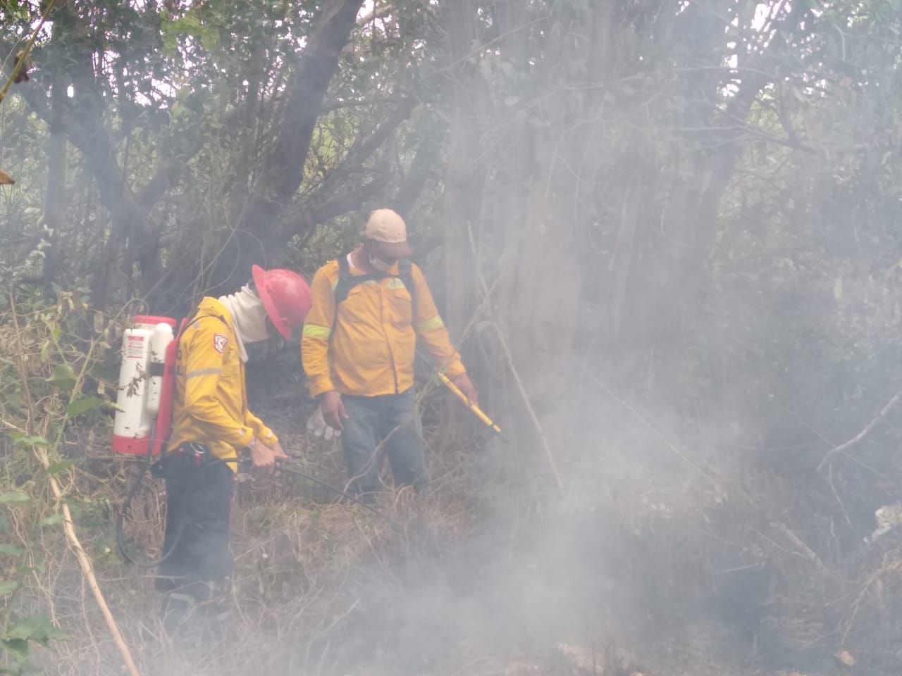 Autoridades atienden incendio forestal en el Vía Parque Isla de Salamanca