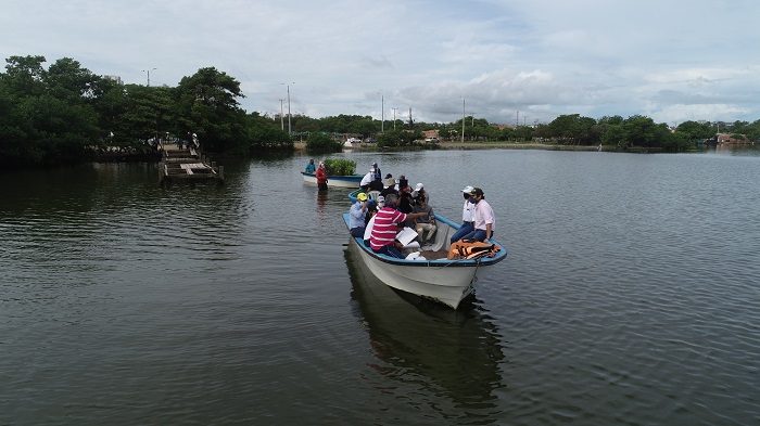 Barranquilla, en la era de la biodiverciudad: en el corazón de Mallorquín empezaron a plantarse los mangles del Ecoparque