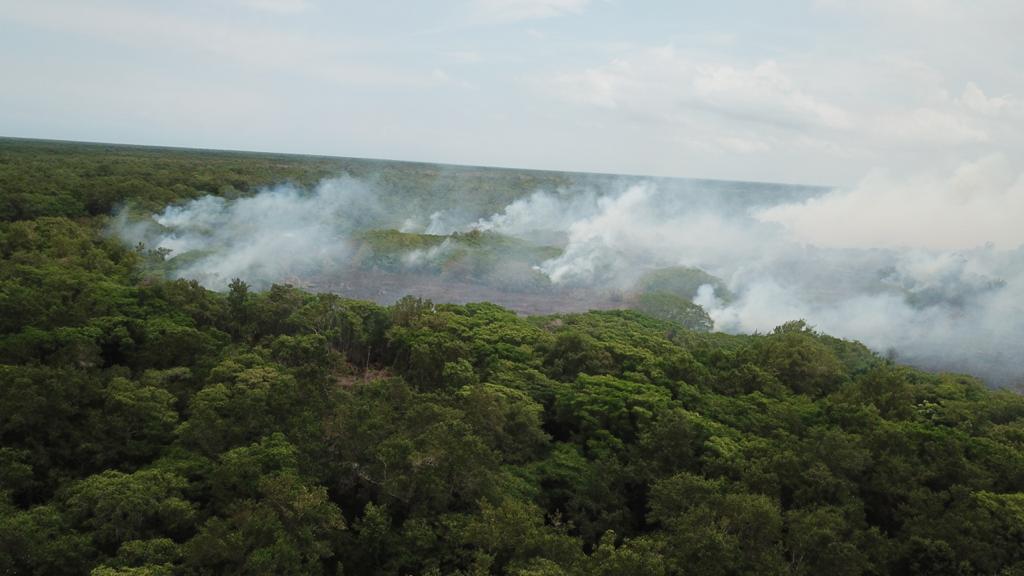 Barranquilla no aguanta más quemas y propone soluciones de fondo en isla Salamanca