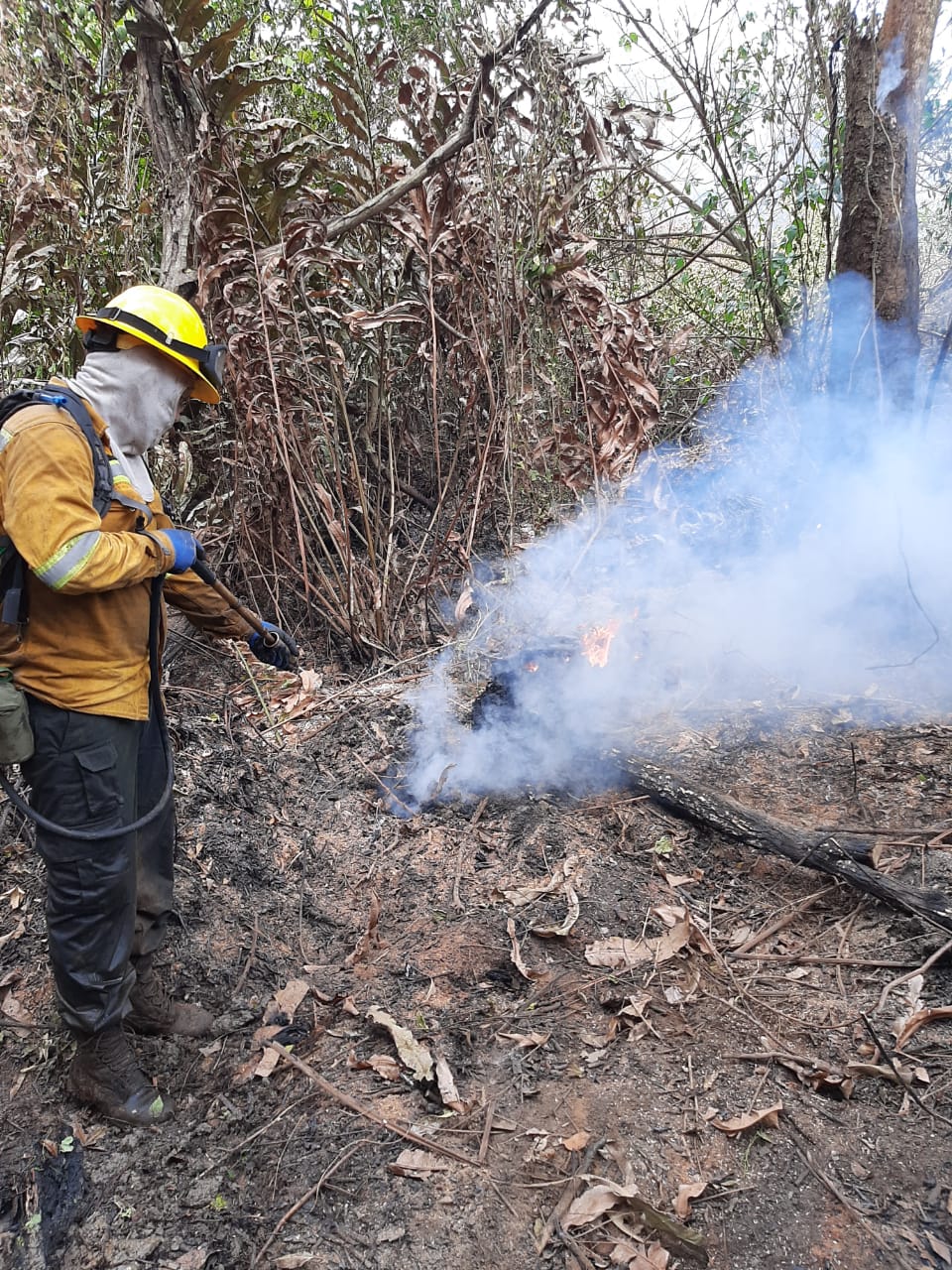 Autoridades atienden incendio presentado en el Vía Parque Isla de Salamanca
