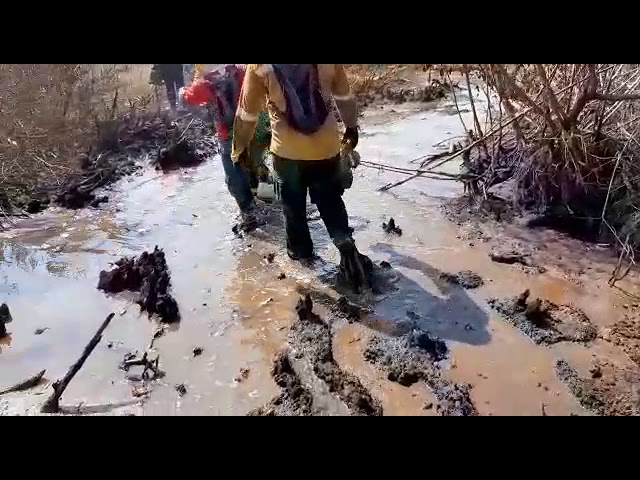 Incontrolable : incendio forestal en el Vía Parque Isla de Salamanca