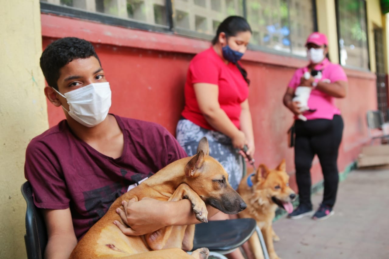 En Soledad 500 mascotas fueron esterilizadas en jornada masiva