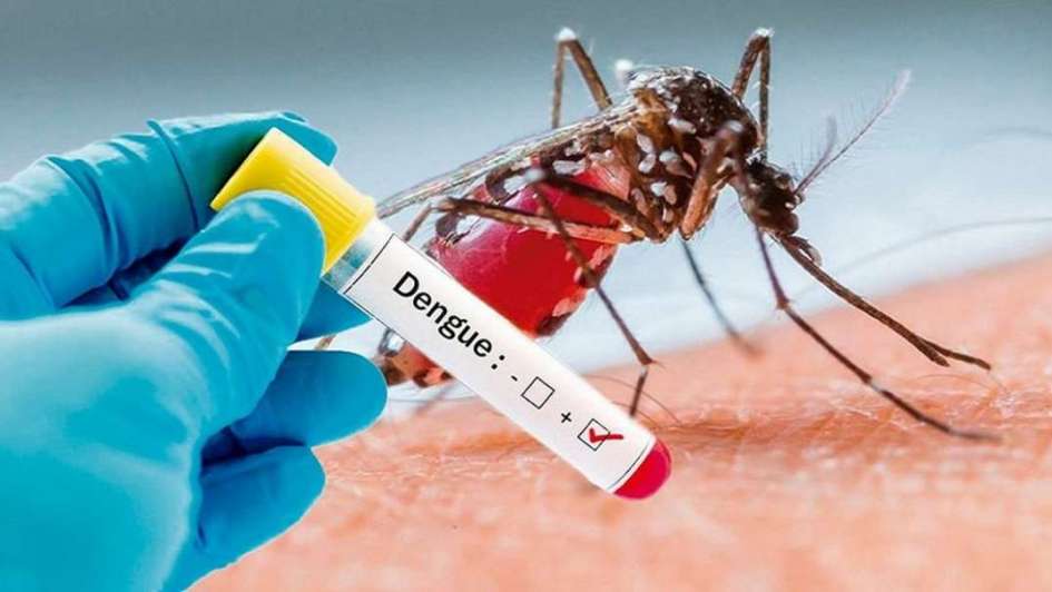 Por temporada de lluvias, Distrito invita a la ciudadanía a fortalecer medidas de prevención del dengue