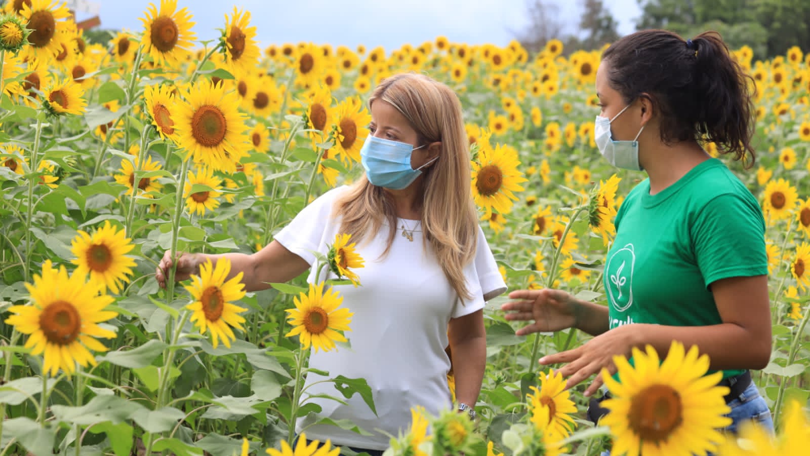 Malambo será la próxima parada de ‘La Ruta del Girasol’