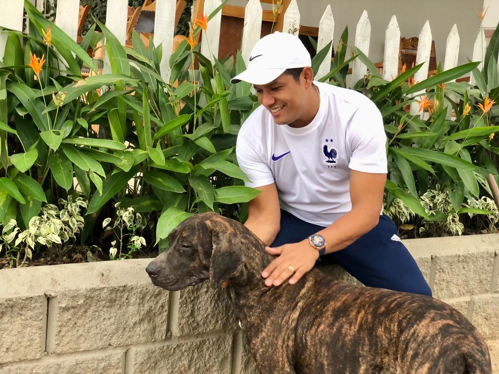 Recompensa por responsable de maltrato animal en Malambo