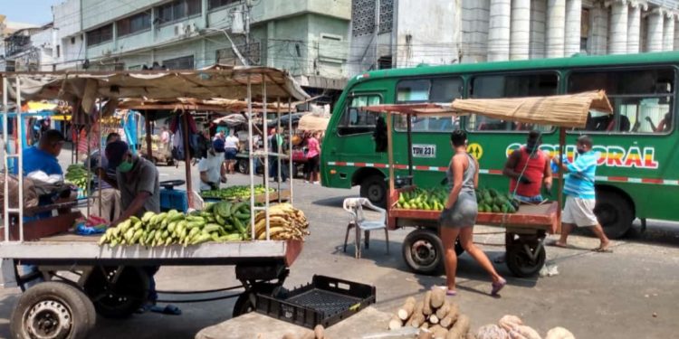 El Plan Maestro de Recuperación de los Mercados Públicos está en marcha 