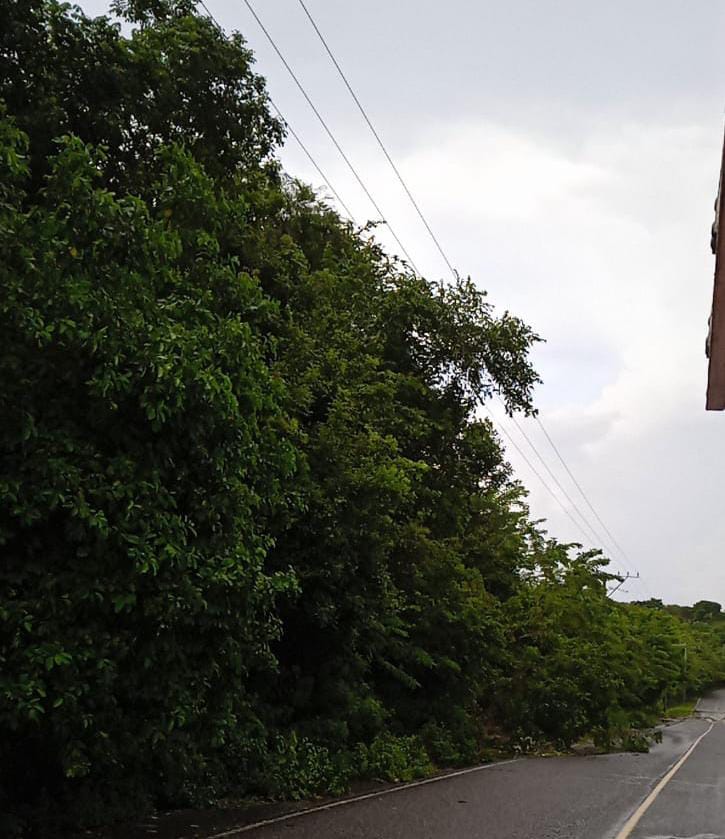Deslizamiento provocó caída de árboles sobre redes eléctricas en zona rural de Baranoa