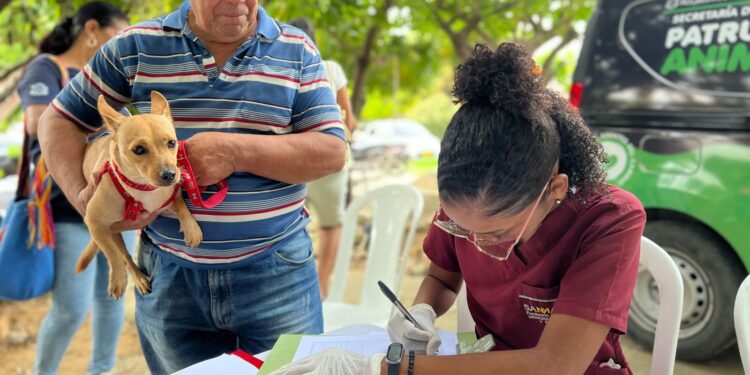 ¡Prográmate! Este sábado, nueva Jornada de Bienestar Animal llega al parque Venezuela