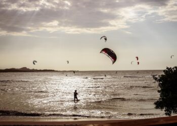 ¡Llega el Salinas Fest 2025!