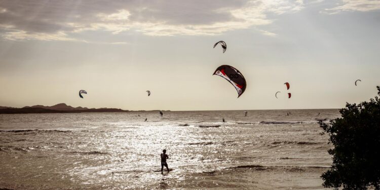 ¡Llega el Salinas Fest 2025!