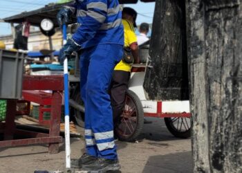 Limpieza, árboles y paisajismo: mercado de Granos reverdece con intervención del Distrito