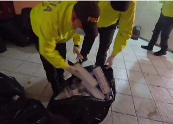 Policía Fiscal y Aduanera logra la aprehensión de más de 6.400 cajetillas de cigarrillos y 228 botellas de licor ilegal
