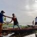 ‘Plan + Pescao’ siembra vida: 400.000 alevinos de bocachico liberados en el embalse del Guájaro